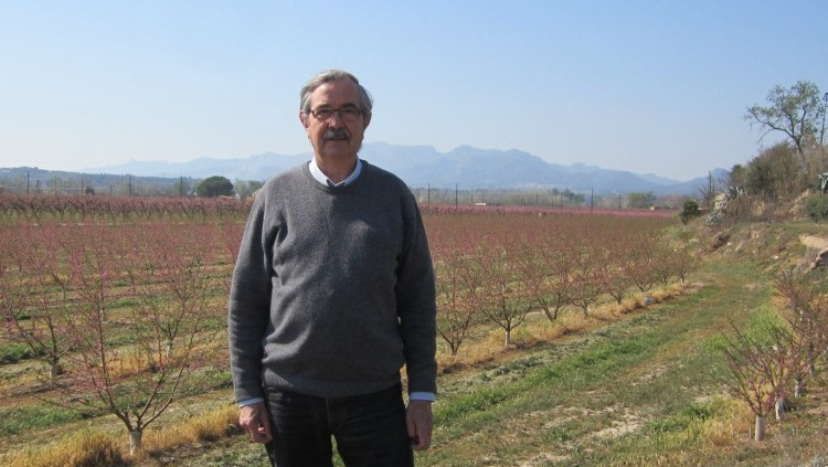 Josep Martí Valls
