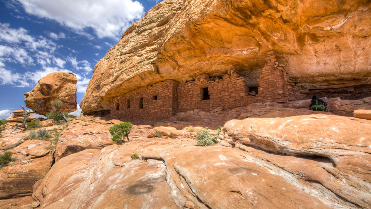 Cedar Mesa és un dels llocs més espectaculars del Bears Ears National Monument, un espai protegit que Donald Trump ha reduït en un 75% en contra de l'opinió dels indis navaho i de les reserves Hopi, Zuni, Ute i Ute Mountain. BOB WICK (BLM)