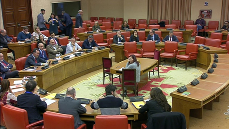 La reunió de la comissió constitucional del Congrés espanyol ha validat el dictamen de reforma de l'Estatut valencià.