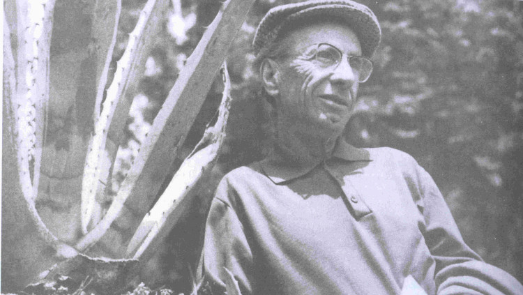 Domènec Guansé