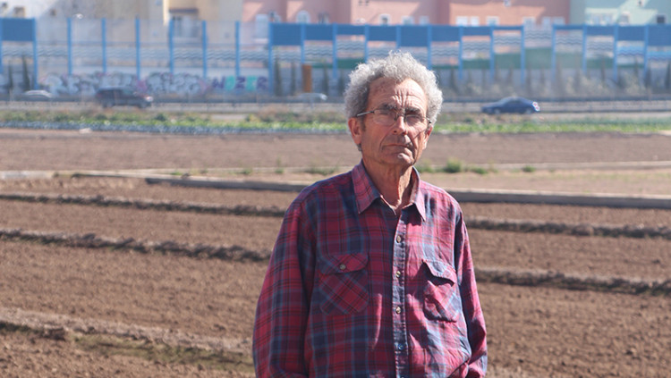 Vicent Martí