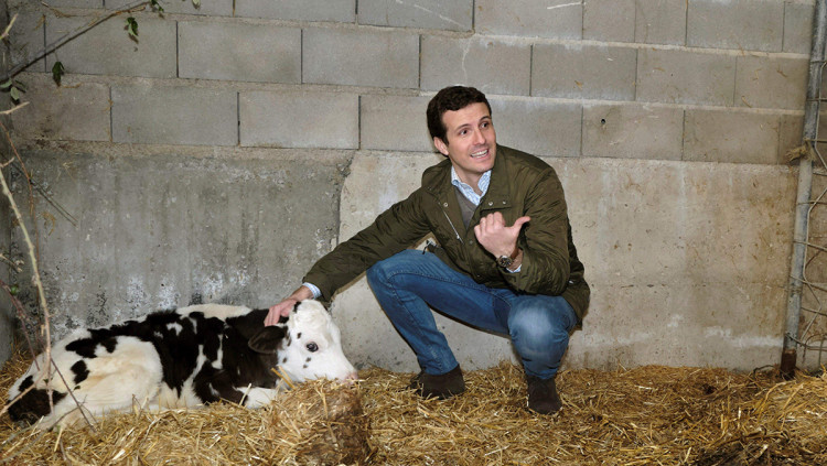 Pablo Casado posa en una granja. Efe
