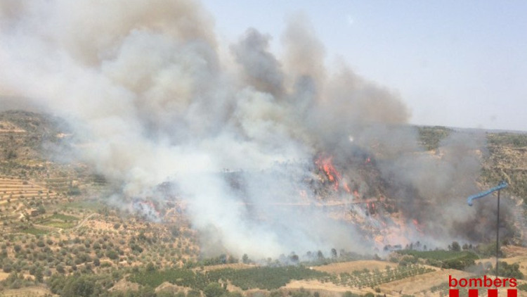 Incendi a Torre de l'Espanyol. Bombers.cat