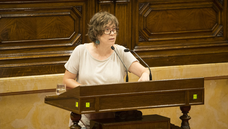 Eulàlia Reguant intervé al Parlament el 2017. Arxiu EL TEMPS