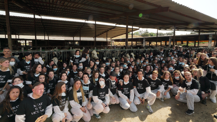 Cedida per Action for Liberation