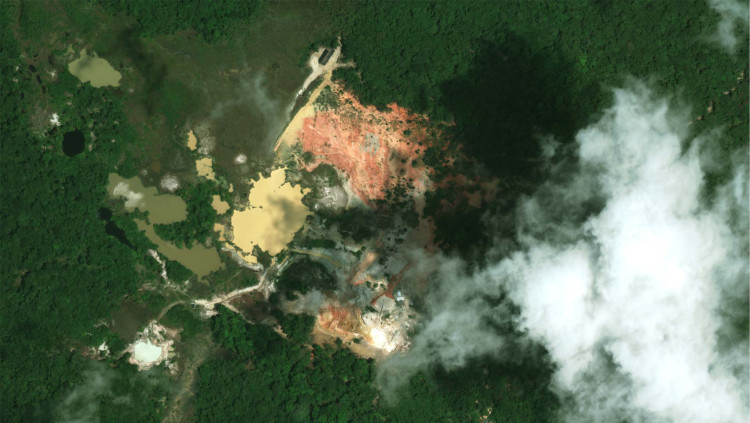 Les mines il·legals estan provocant la deforestació i la contaminació dels rius| EL TEMPS