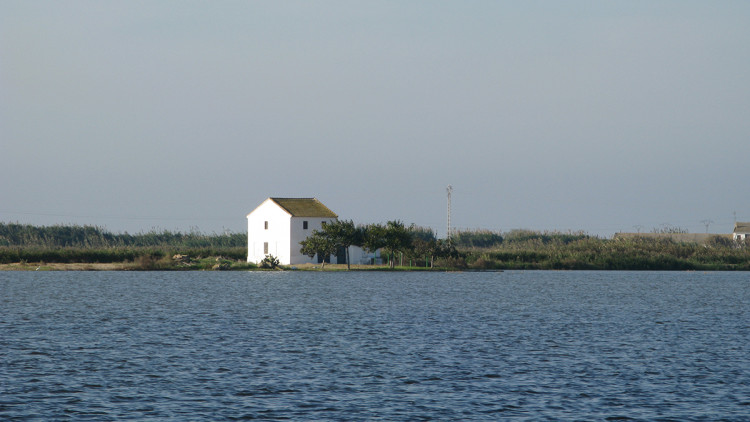 Albufera de València. Eliseu T. Climent