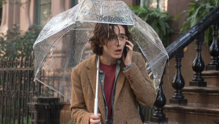 Timothée Chalamet