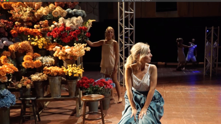 La Rambla de les floristes. TNC
