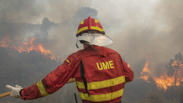 Un integrant de l'UME busca apagar un foc a l'incendi que va produir-se a Llutxent (Vall d'Albaida) en 2018| UME