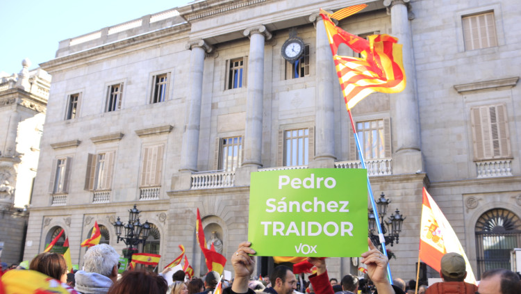 Simpatitzants de Vox es manifesten a la plaça Sant Jaume de Barcelona. Agència Catalana de Notícies