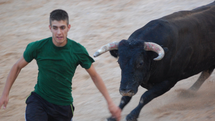 L'any 2019 es van celebrar 7.900 actes taurins al País Valencià.. XAVIER ALIAGA