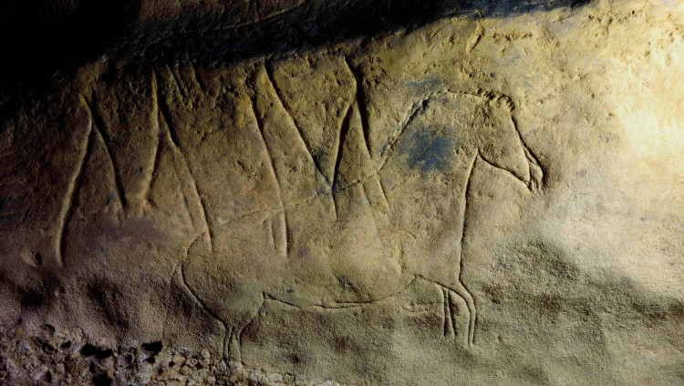 Pla detall d'un gravat d'un cavall que s'ha trobat a la cova de la Font Major de l'Espluga de Francolí. Agència Catalana de Notícies