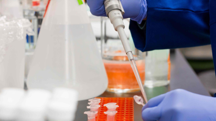 El coronavirus ha evidenciat, de nou, la precarietat de mitjans de la ciència espanyola| Europa Press