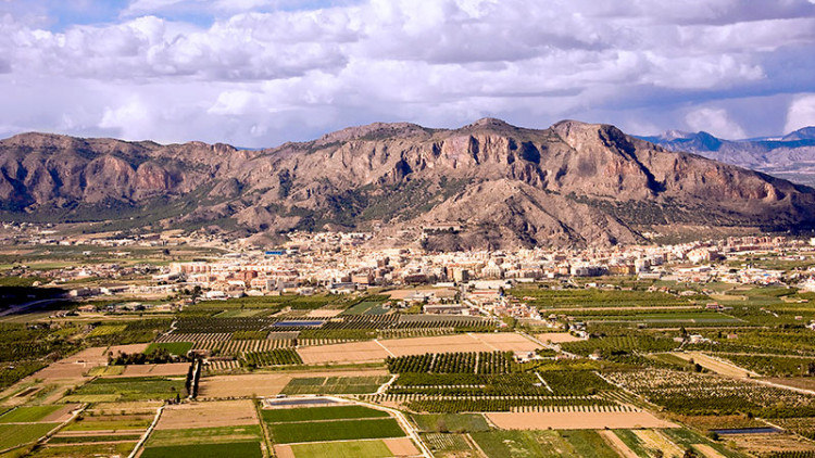 Panoràmica de la ciutat d'Oriola