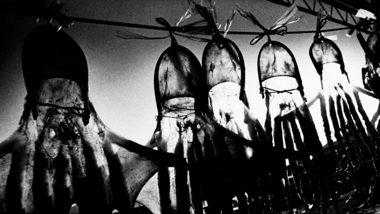 © Daido Moriyama Photo Foundation.
