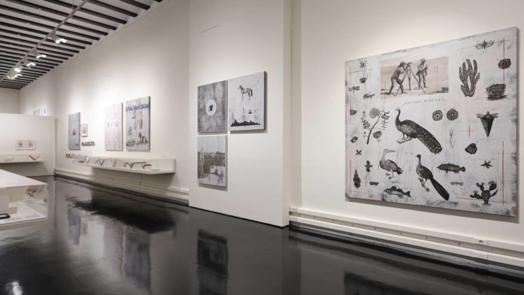 Vista de l'exposició 'Sistema Humboldt. Pensar / pintar', de Nuria Rodríguez. Centre Cultural La Nau, València. Eduardo Alapont