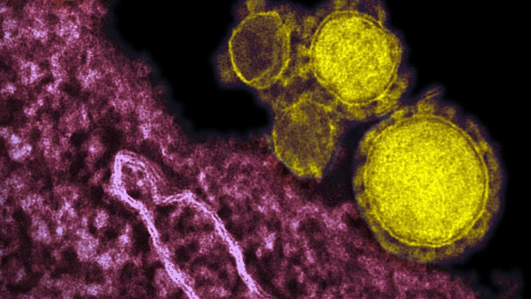Coronavirus| Europa Press