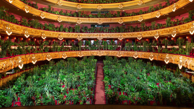 El 22 de juny, el Liceu va reobrir portes amb un concert per a 2.292 plantes, una acció artística d’Eugenio Ampudia. ©Gran Teatre del Liceu.