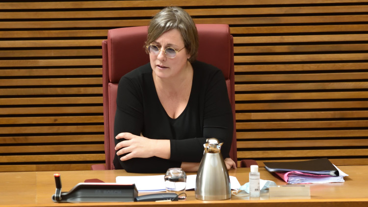 María José Mira, en una intervenció a les Corts Valencianes| Corts Valencianes