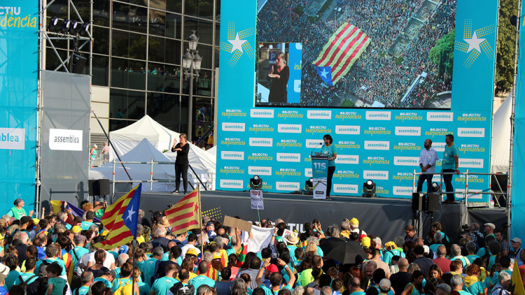 Imatge de la manifestació de la Diada de 2019, convocada per l'ANC. Agència Catalana de Notícies