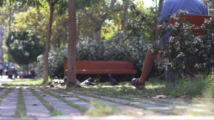 Vianant descansant en un dels bancs del corredor verd del Passeig de Sant Joan. Elisabet Gonzalez