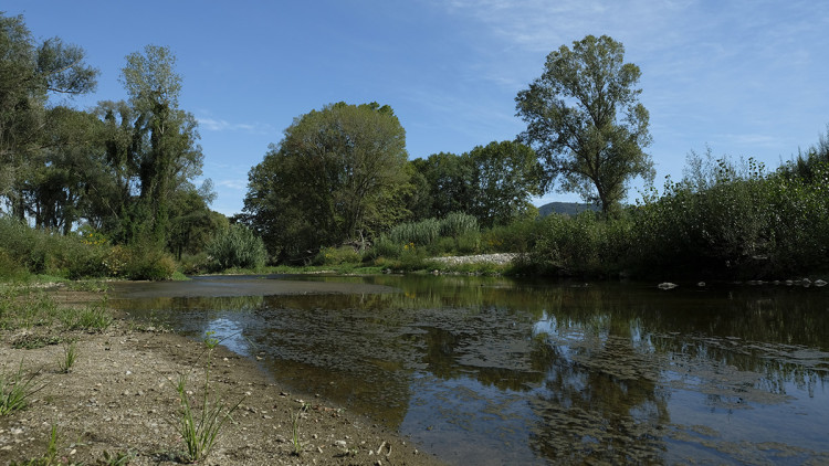 La Tordera (Hostalric). Eliseu T. Climent