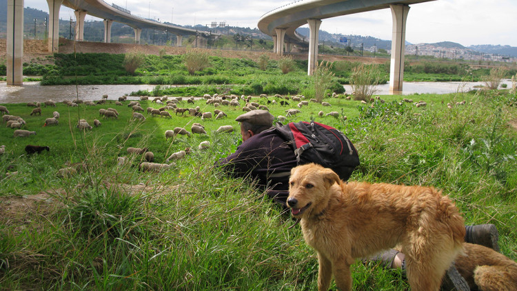 Pastures metropolitanes. Eliseu T. Climent