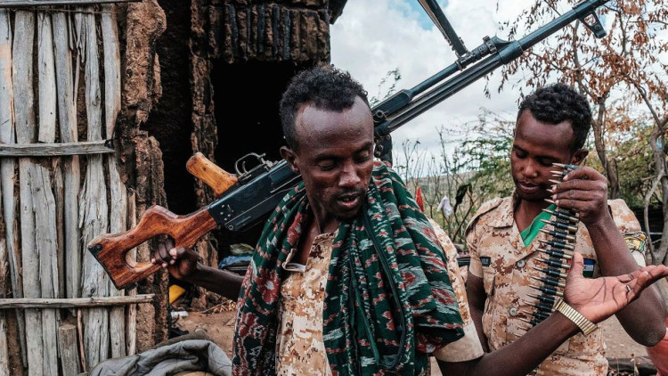 Combatents etíops. Der Spiegel