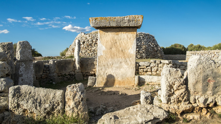 Trepucó