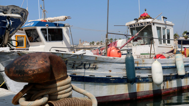 Pla obert d'una barca de pesca artesanal de Sitges amarrada al Port d'Aiguadolç. Agència Catalana de Notícies
