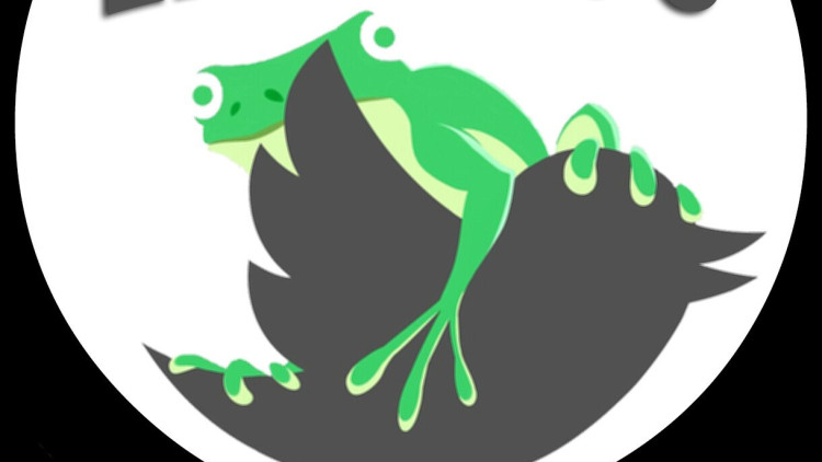 Imatge difosa pel fundador de Gab. La granota és el símbol de la plataforma. Fa referència a una de les icones de l'alt right, Pepe the Frog.