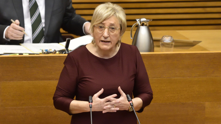 La consellera valenciana de Sanitat, Ana Barceló, durant la seua intervenció a les Corts d'aquest dilluns.